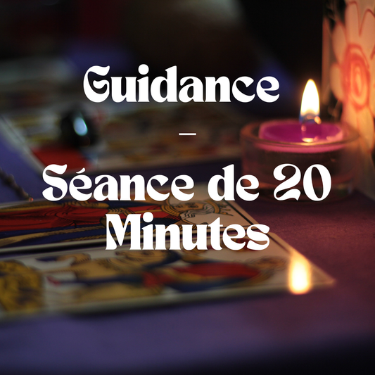 🔮 Guidance – Séance de 20 Minutes ✨